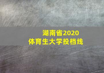 湖南省2020体育生大学投档线