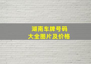 湖南车牌号码大全图片及价格