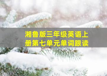 湘鲁版三年级英语上册第七单元单词跟读