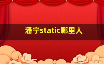 潘宁static哪里人