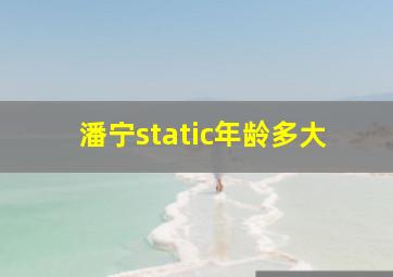 潘宁static年龄多大