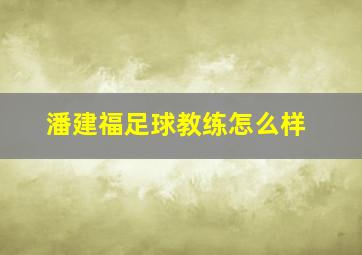 潘建福足球教练怎么样