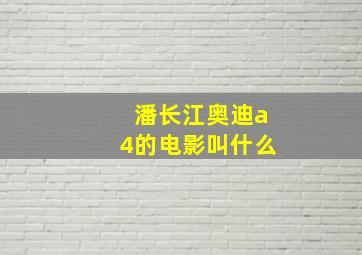 潘长江奥迪a4的电影叫什么