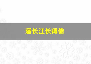 潘长江长得像