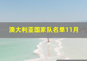 澳大利亚国家队名单11月