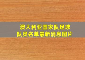 澳大利亚国家队足球队员名单最新消息图片