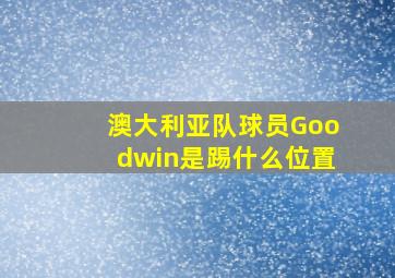 澳大利亚队球员Goodwin是踢什么位置