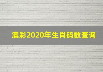 澳彩2020年生肖码数查询