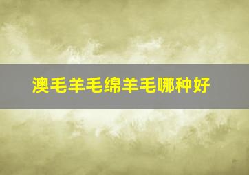 澳毛羊毛绵羊毛哪种好