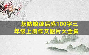 灰姑娘读后感100字三年级上册作文图片大全集