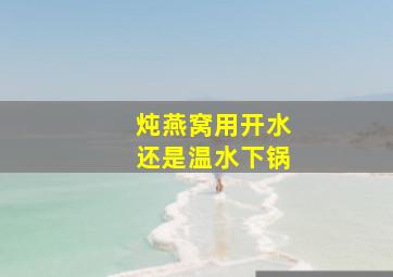 炖燕窝用开水还是温水下锅