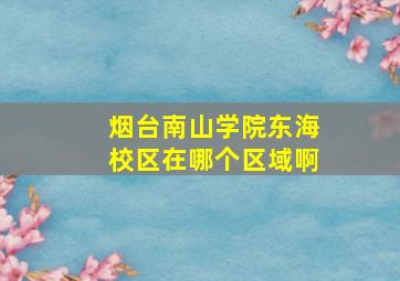 烟台南山学院东海校区在哪个区域啊