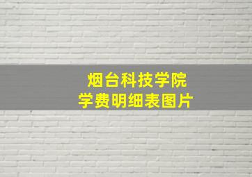 烟台科技学院学费明细表图片