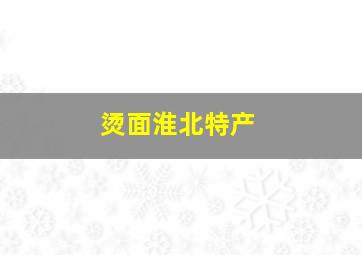 烫面淮北特产