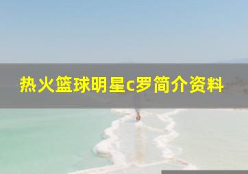 热火篮球明星c罗简介资料