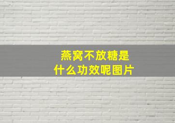 燕窝不放糖是什么功效呢图片