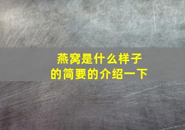 燕窝是什么样子的简要的介绍一下