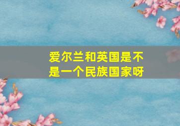 爱尔兰和英国是不是一个民族国家呀