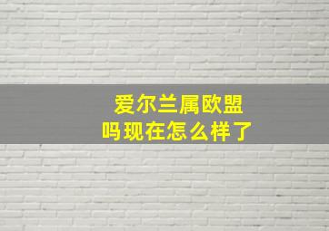 爱尔兰属欧盟吗现在怎么样了