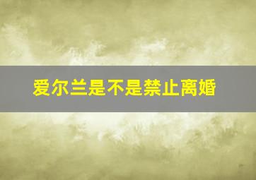 爱尔兰是不是禁止离婚