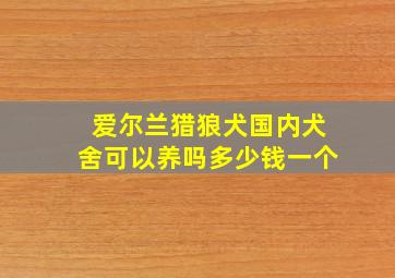 爱尔兰猎狼犬国内犬舍可以养吗多少钱一个