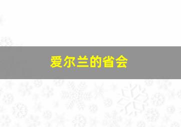 爱尔兰的省会