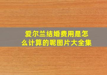 爱尔兰结婚费用是怎么计算的呢图片大全集