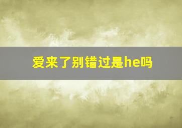 爱来了别错过是he吗