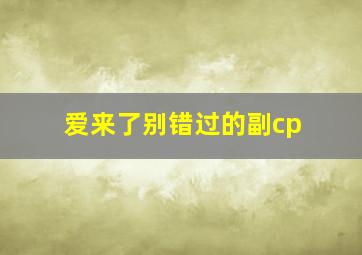 爱来了别错过的副cp