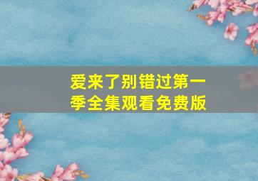 爱来了别错过第一季全集观看免费版