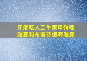 牙疼吃人工牛黄甲硝唑胶囊和布洛芬缓释胶囊