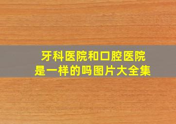 牙科医院和口腔医院是一样的吗图片大全集