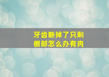 牙齿断掉了只剩根部怎么办有肉