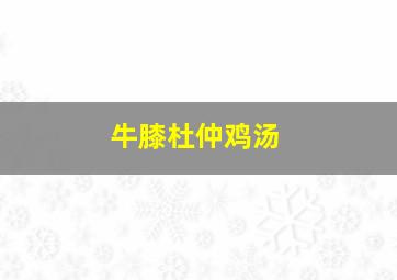 牛膝杜仲鸡汤