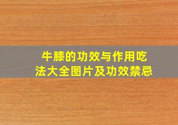 牛膝的功效与作用吃法大全图片及功效禁忌