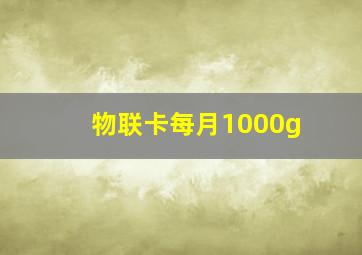 物联卡每月1000g