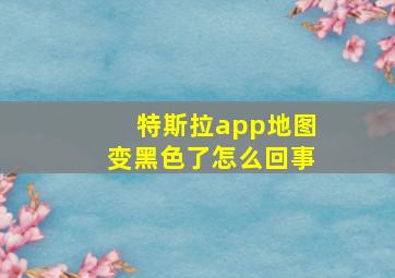 特斯拉app地图变黑色了怎么回事