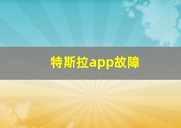 特斯拉app故障