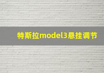 特斯拉model3悬挂调节