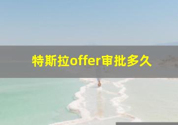 特斯拉offer审批多久