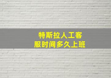 特斯拉人工客服时间多久上班