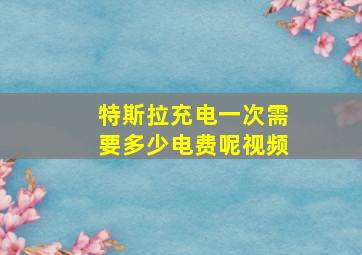 特斯拉充电一次需要多少电费呢视频