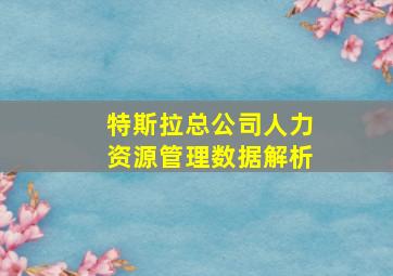 特斯拉总公司人力资源管理数据解析