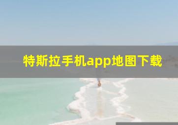 特斯拉手机app地图下载