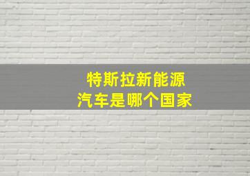 特斯拉新能源汽车是哪个国家