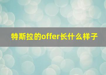 特斯拉的offer长什么样子