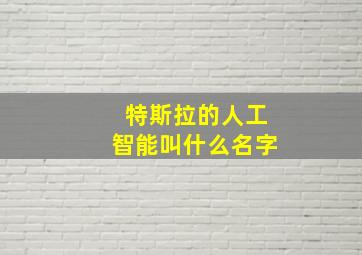 特斯拉的人工智能叫什么名字