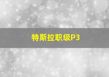 特斯拉职级P3