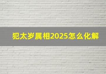 犯太岁属相2025怎么化解