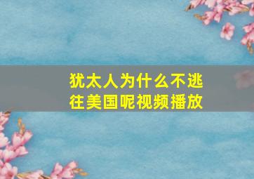 犹太人为什么不逃往美国呢视频播放